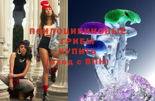 ГАЛЛЮЦИНОГЕННЫЕ ГРИБЫ Никольск