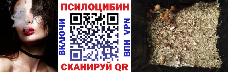 Галлюциногенные грибы GOLDEN TEACHER  shop какой сайт  Электроугли 
